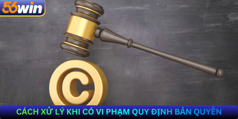 Cách Xử Lý Khi Có Vi Phạm Quy Định Bản Quyền