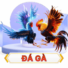 đá gà