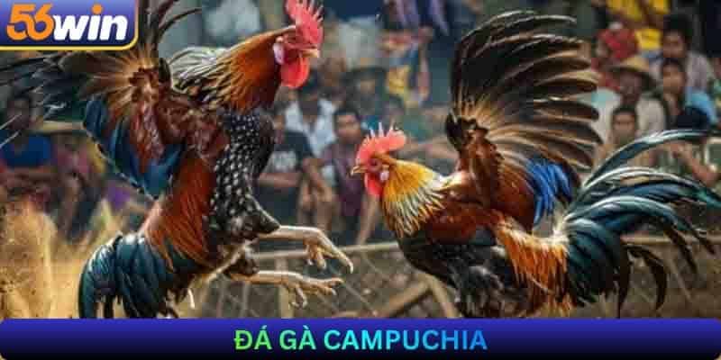 Đá gà Campuchia