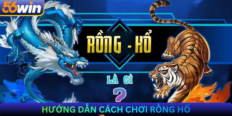 hướng dẫn cách chơi Rồng Hổ